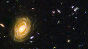 Estrelas