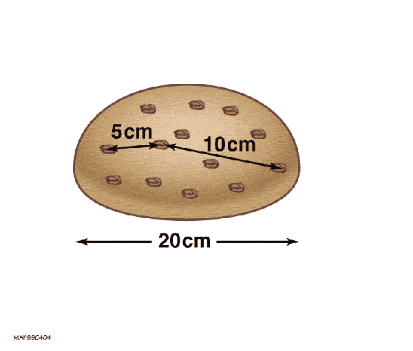 Modelo bolo de passas