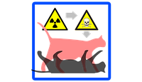 Gato de Schrödinger